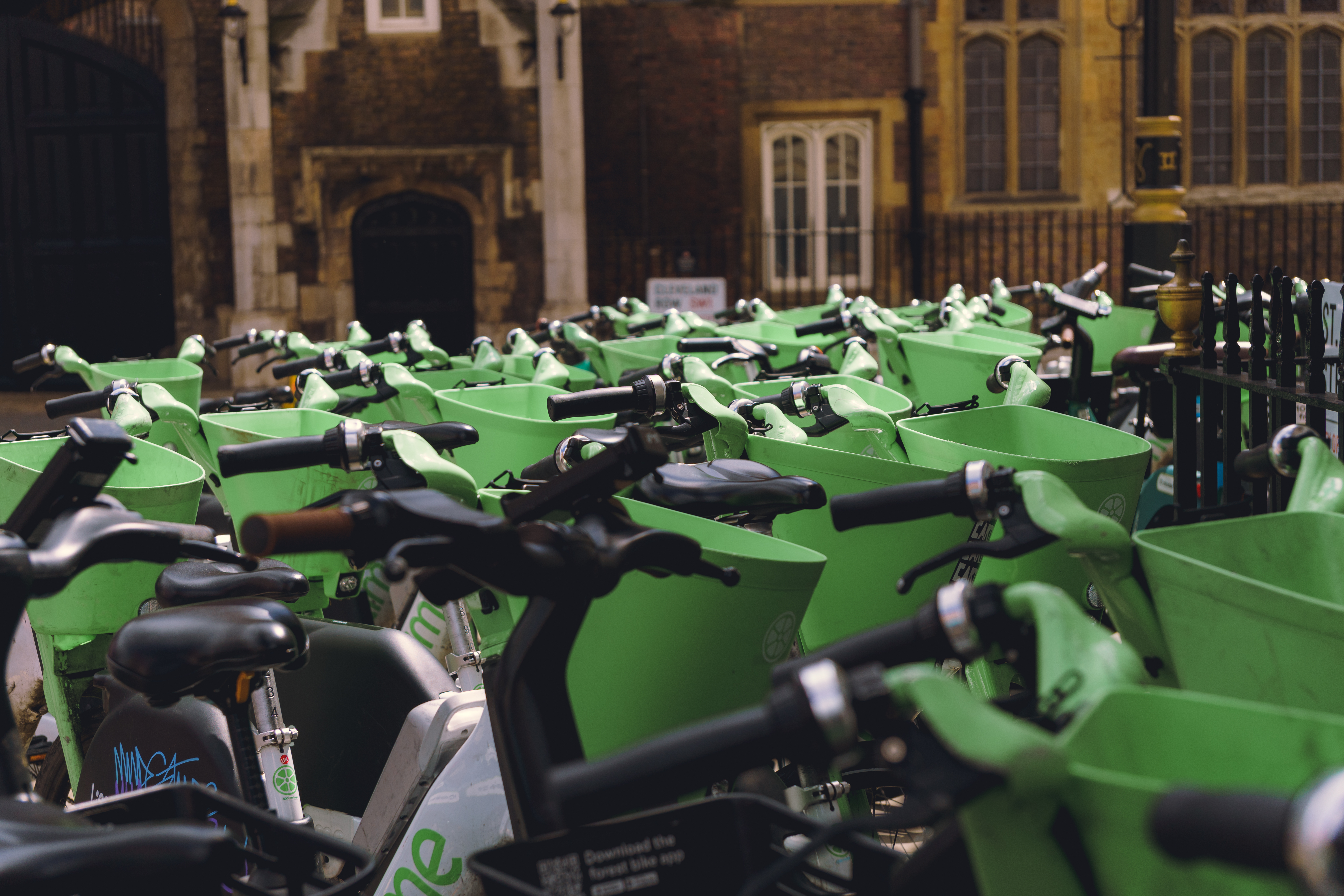 Sea of Lime Bikes